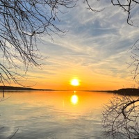 Need Me (feat. Joonyoftv) - Single - Zel?