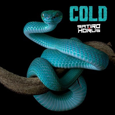 Cold - Single