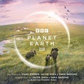 Planet Earth III (Original Television Soundtrack) artwork