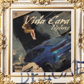 Vida Cara (Deluxe) artwork