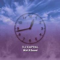 Wait a Second - Single - Dj Kapral