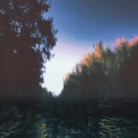 Evergreen - Single - American Teleport