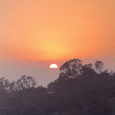 where did summer go? - Single