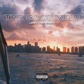 The Good Kind artwork