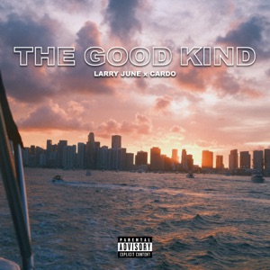 The Good Kind - Single