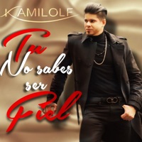 Tu No Sabes Ser Fiel - Single - Kamilolf