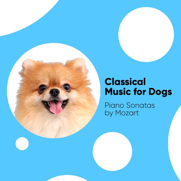 Classical Music for Dogs: Piano Sonatas by Mozart