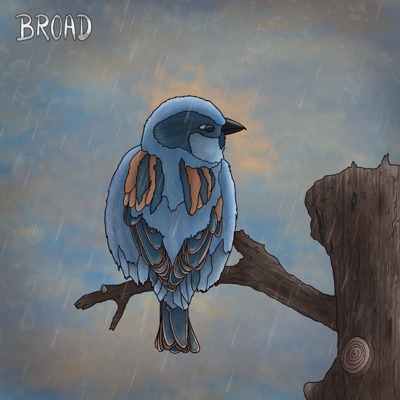 Il Y a Toujours Des Oiseaux Sous La Pluie - Single