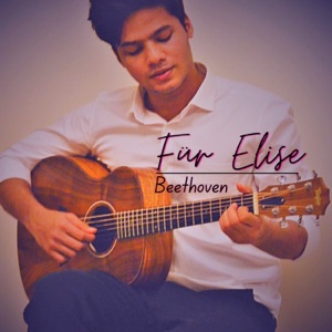 Für Elise (Fingerstyle Guitar)