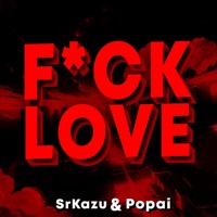 Beat do Funk Love - Single - srkazu