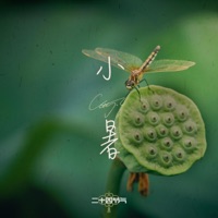 Minor Heat -Xiaoshu- - Single - Catty.L