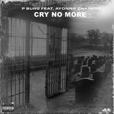 Cry No More (feat. Ayonna Charese) - Single