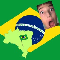 Brasil e seu 27 estados - Single - IceBirdCajz