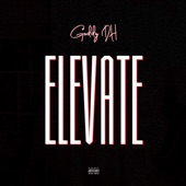 Elevate artwork