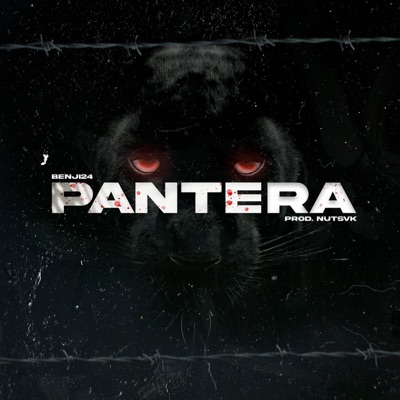 PANTERA (feat. Nutsvk) - Single