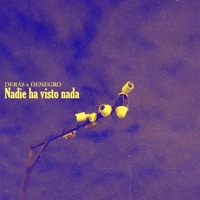 Nadie ha visto nada (feat. DeNegro) - Single - Deras
