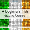 A Beginner's Irish Gaelic Course: Simple Words And Phrases In Irish Gaelic - Darragh Ryan