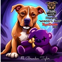 NOBODY'S SAFE (feat. Brandon Taylor) - Single - Big C's Bullies