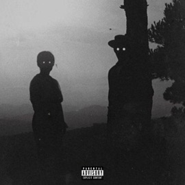 Destruction In Your Eyes cvdznce