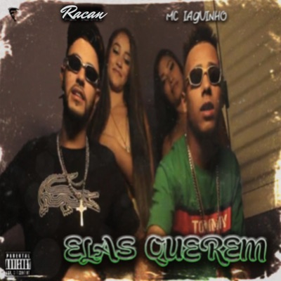Elas Querem - Single