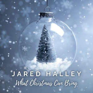 What Christmas Can Bring - EP