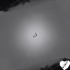 Lio LIO LIO - Single