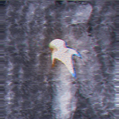 These walls, saved my life... (feat. Andy Glad) - Single