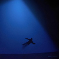 SIMULATION - Proximo