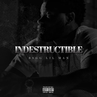 Indestructible - EP