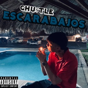 Escarabajos
