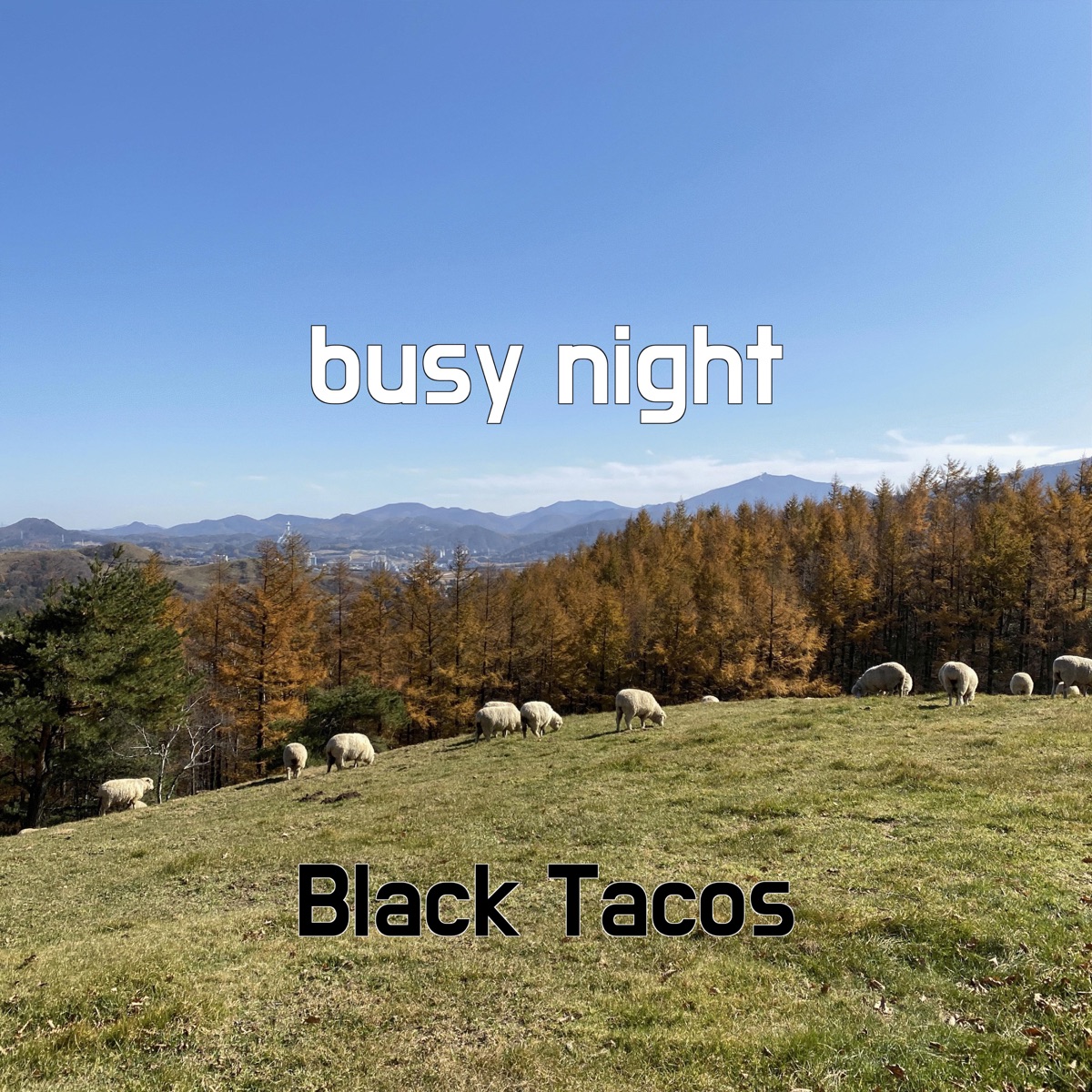 Don't Bring Lulu - Single — álbum de Black Tacos — Apple Music