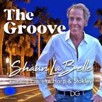 The Groove (feat. Everette Harp & Stokley) - Single - Shaun Labelle