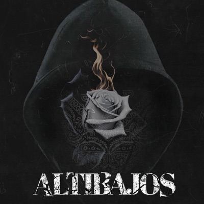 Altibajos - Single