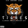 Tigres (feat. Aj Gonzalez, Maury Diaz 312 & Leo PL) - Single