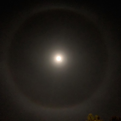 Overnight Switch Up - Single