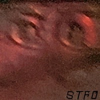 S T F O - Single - Quincy Davis