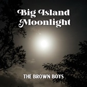 Big Island Moonlight artwork