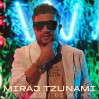 Cat esti de wow - Single - Miraj Tzunami