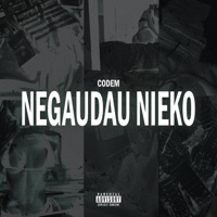 Negaudau Nieko - Single - Codem