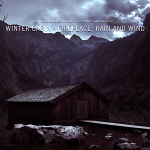 Winter Cabin - Fireplace, Rain and Wind