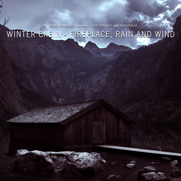 Winter Cabin - Fireplace, Rain and Wind