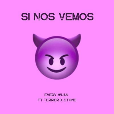 Si nos vemos (feat. Terrier & Stone) - Single