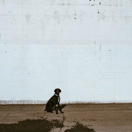 Album artwork