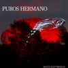 Puros Hermano (feat. Stars Music Chile, Dakos) - Single