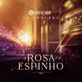 A ROSA E O ESPINHO