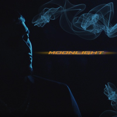 Moonlight (Radio Edit) - Single