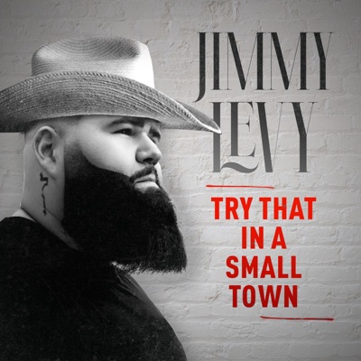 Try That In a Small Town - Single