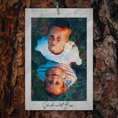 Schuilen In Het Bos (feat. Dayla) - Single