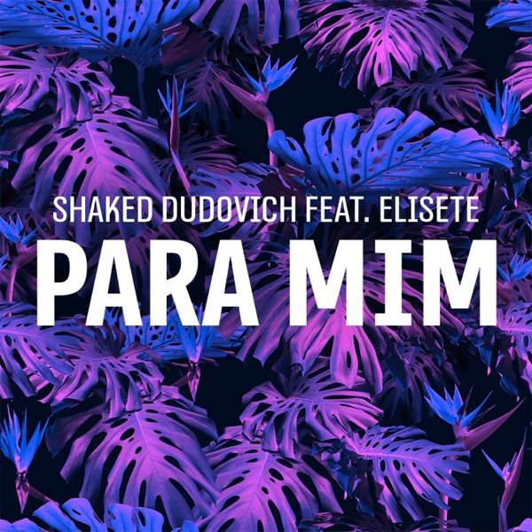 Para Mim (feat. Elisete)