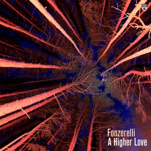 A Higher Love - Single